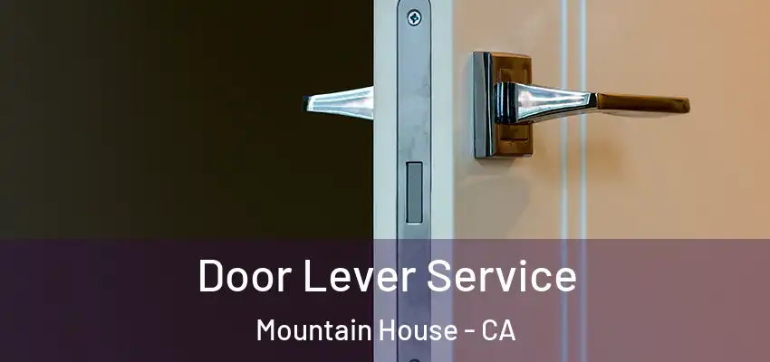  Door Lever Service Mountain House - CA